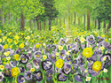 Wild%20Flowers (thumbnail)