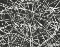 Niburu (thumbnail)