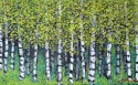 Birch%20Trees%20%233 (thumbnail)