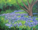 Texas%20Bluebells (thumbnail)