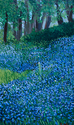 Lilies%20Of%20The%20Field (thumbnail)