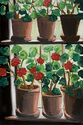 Geraniums%20In%20The%20Window (thumbnail)