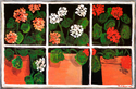 Window%20Garden%201 (thumbnail)