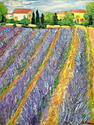Provence (thumbnail)