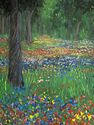 Van%20Gogh%27s%20Woods (thumbnail)