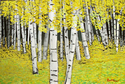 Birch%20Trees%20In%20The%20Clearing (thumbnail)