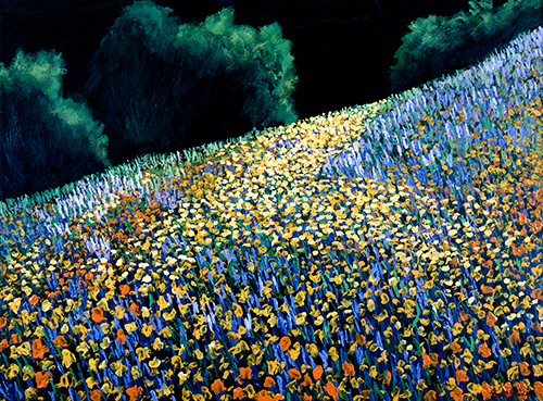 The%20Valley%20Of%20The%20Shadow (large view)