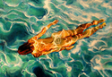 Swimmer #20