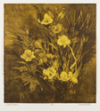 Paula Zinsmeister - Sepia Lilies