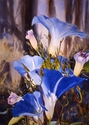 Painting--Watercolor-FloralGlorious Morning
