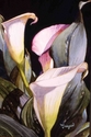 Painting--Watercolor-FloralCalla II