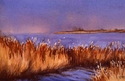 Painting--Watercolor-LandscapeMarsh Grasses