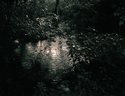 Twilight%20Thunderstorm (thumbnail)