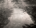 Paul Bloomfield - Pond