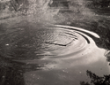 Presence%20at%20Pond%20II (thumbnail)