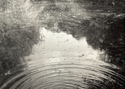 Presence%20at%20Pond%20III (thumbnail)