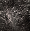 wilbraham%20late%20spring%20II (thumbnail)