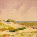 Top Dune - SOLD
