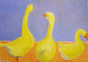 Just Ducky
