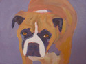 Boxer Joe  - SOLD