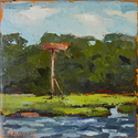 Osprey Nest - SOLD