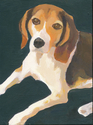 Beagle Boy - SOLD