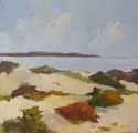 Fall Dunes  SOLD