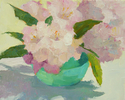 Pink Rhodys