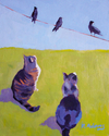 Bird Watching - SOLD