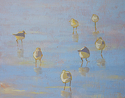 Birds In The Mist