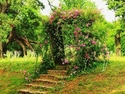 Margaret C Sanders - Floral Photography rose trellis, Flowery Branch, GA, nature & landscape photography, Peggy Sanders - Floral Photography