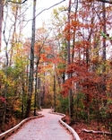 walking path walking%20path (thumbnail)
