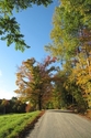 country roads country%20roads (thumbnail)