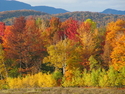 full color full%20color (thumbnail)