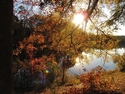 Fall afternoon. 8855 Fall%20afternoon.%208855 (thumbnail)