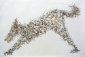 Print Making--AnimalsAiredale