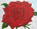 Painting--Acrylic-BotanicalRed Rose