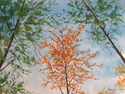 Painting--Watercolor-Plein AirConnections