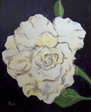 Painting--Acrylic-BotanicalWhite Rose