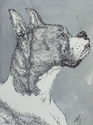 Drawing--Ink-AnimalsBoxer