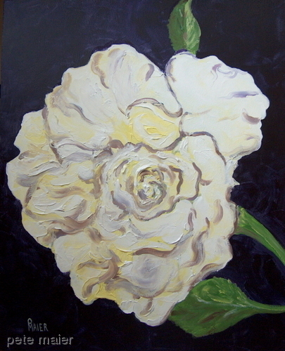 Painting-Botanical-White Rose