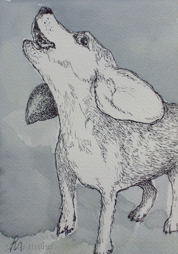 Drawing-Animals-Nootchie