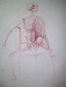 Skeleton, Still-Life - Still Life Drawing