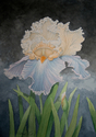 Iris (thumbnail)