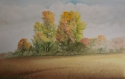 Fall%20Color (thumbnail)