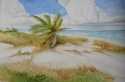 Bahama%20Breeze (thumbnail)