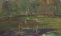 Marsh (thumbnail)