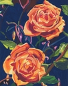 roses (thumbnail)