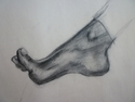 Foot1 (thumbnail)