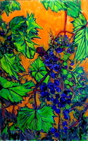 Muscadine Grapes 2